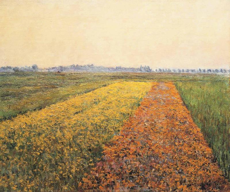 Gustave Caillebotte The Yellow Fields at Gennevilliers China oil painting art